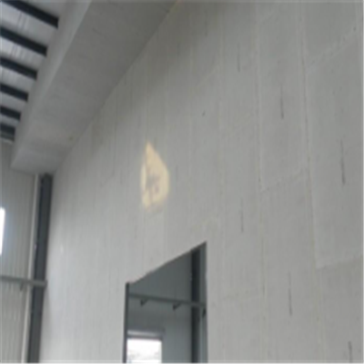 海口宁波ALC板|EPS加气板隔墙与混凝土整浇联接的实验研讨